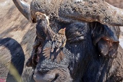 14: 1_DSC_7324_lores