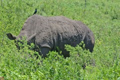 20: 1_DSC_7352_lores