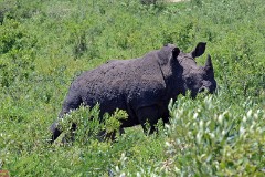 22: 1_DSC_7381_lores