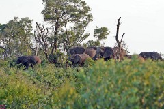 31: 1_DSC_7391_lores