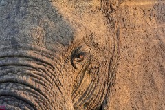 34: 1_DSC_7444_lores