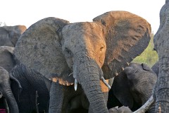 35: 1_DSC_7445_lores