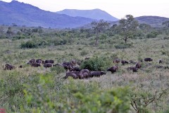 40: 1_DSC_7501_lores