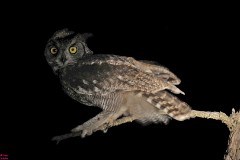 44: 1_DSC_7574_lores