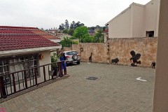 15: 1_DSC01385_lores