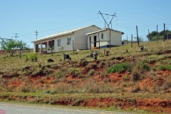 30: 1_DSC01405_lores