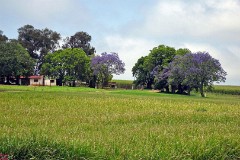 31: 1_DSC01410_lores