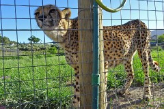 13: 1_DSC00609_lores