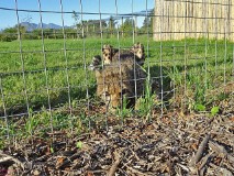 14: 1_DSC00611_lores