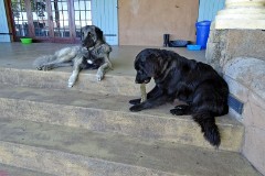 19: 1_DSC00625_lores