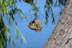 18: 1_DSC00667_lores