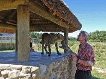 23: 1_DSC00672_lores