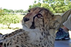 27: 1_DSC00681_lores