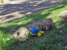 28: 1_DSC00692_lores