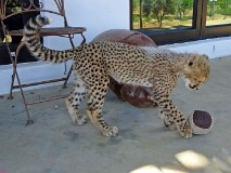 30: 1_DSC00699_lores