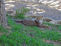 34: 1_DSC00702_lores