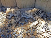 35: 1_DSC00703_lores