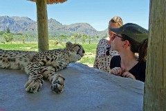 36: 1_DSC00713_lores