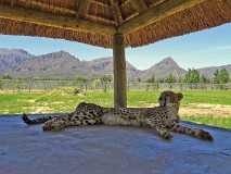 37: 1_DSC00715_lores