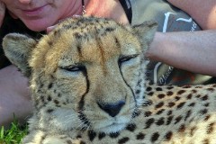 39: 1_DSC00718_lores