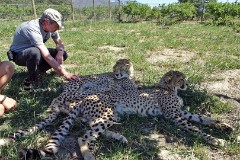 42: 1_DSC00734_lores