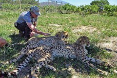 43: 1_DSC00735_lores