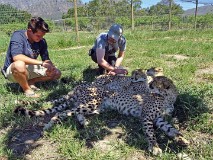 45: 1_DSC00737_lores