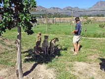 46: 1_DSC00738_lores