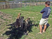 47: 1_DSC00739_lores