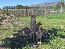 48: 1_DSC00740_lores