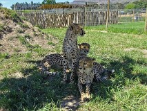 49: 1_DSC00741_lores