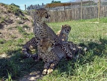 52: 1_DSC00746_lores