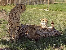 53: 1_DSC00750_lores