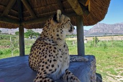 55: 1_DSC00754_lores