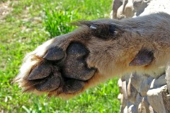 57: 1_DSC00756_lores