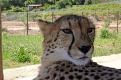 58: 1_DSC00757_lores