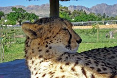 59: 1_DSC00760_lores