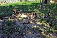 62: 1_DSC00774_lores