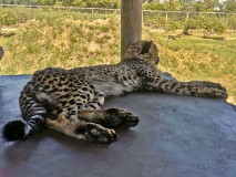 10: 1_DSC_0021_lores