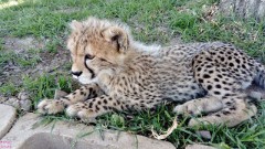 31: 1_DSC_0026_lores