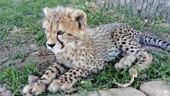 32: 1_DSC_0027_lores