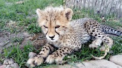 33: 1_DSC_0028_lores