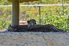 12: 1_DSC_5647_lores