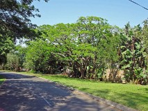 15: 1_DSC01446_lores