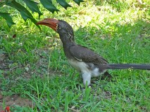 18: 1_DSC01457_lores