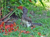 19: 1_DSC01458_lores