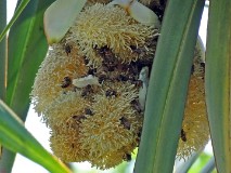 20: 1_DSC01459_lores