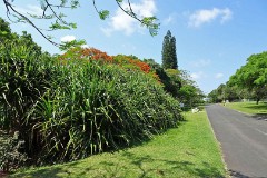 21: 1_DSC01461_lores