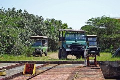 22: 1_DSC01462_lores