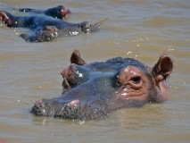 26: 1_DSC01473_lores